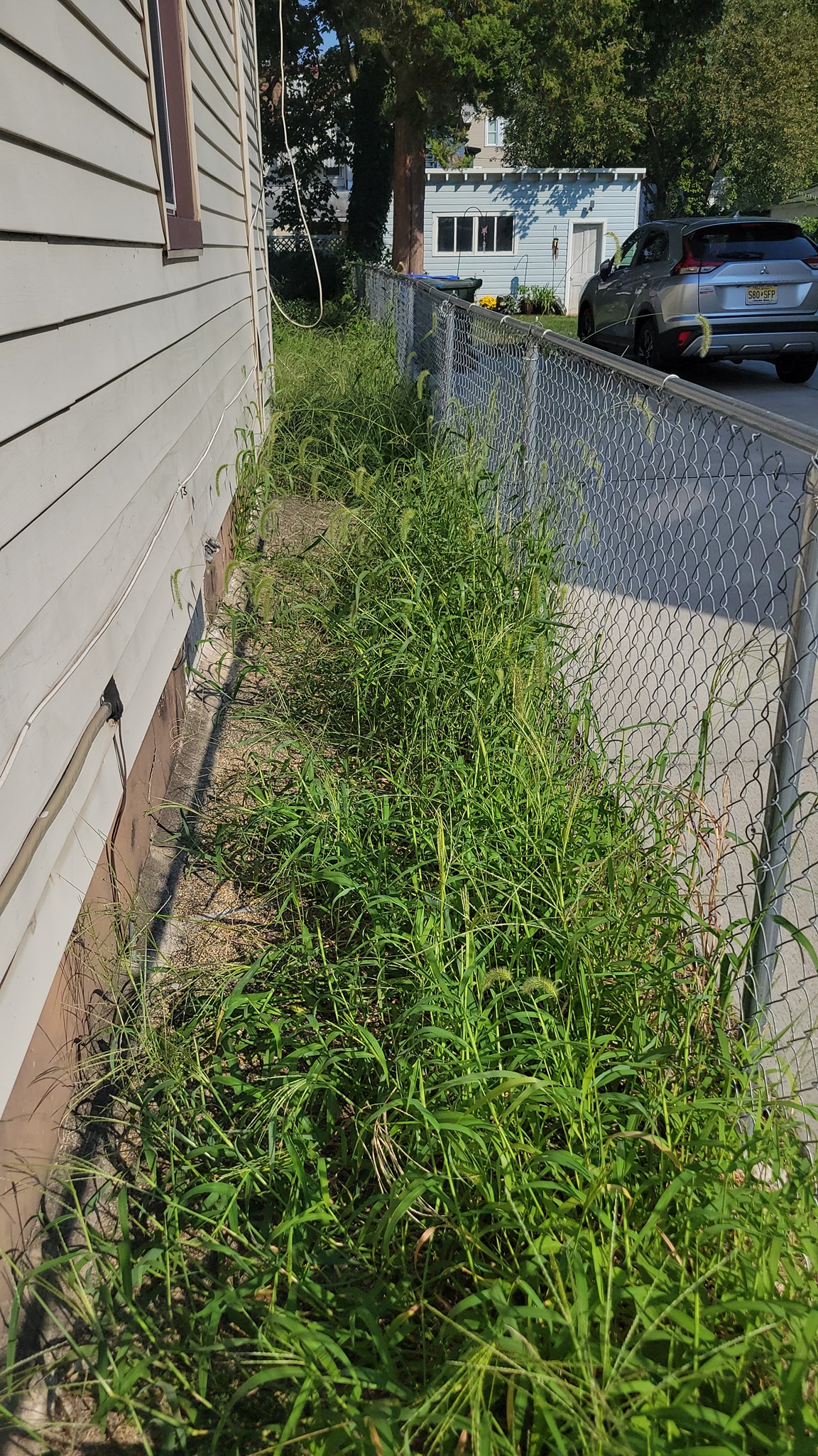 grass cutting Services nj