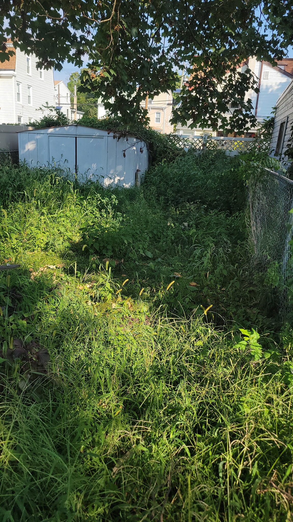 landscape maintenance Services Trenton
