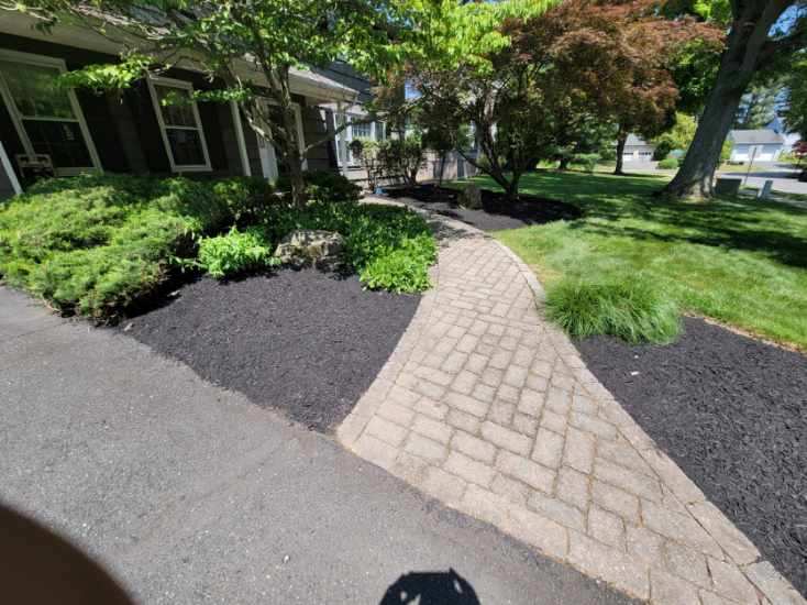 Seasonal Splendor: Essential Landscape Maintenance Tips for New Jersey’s Four Seasons