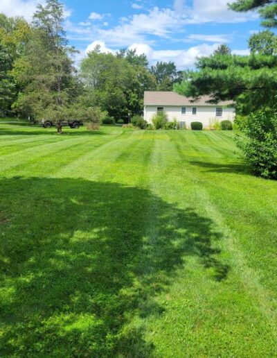 Lawn Mowing Near Me in Hamilton, Lanarkshire
