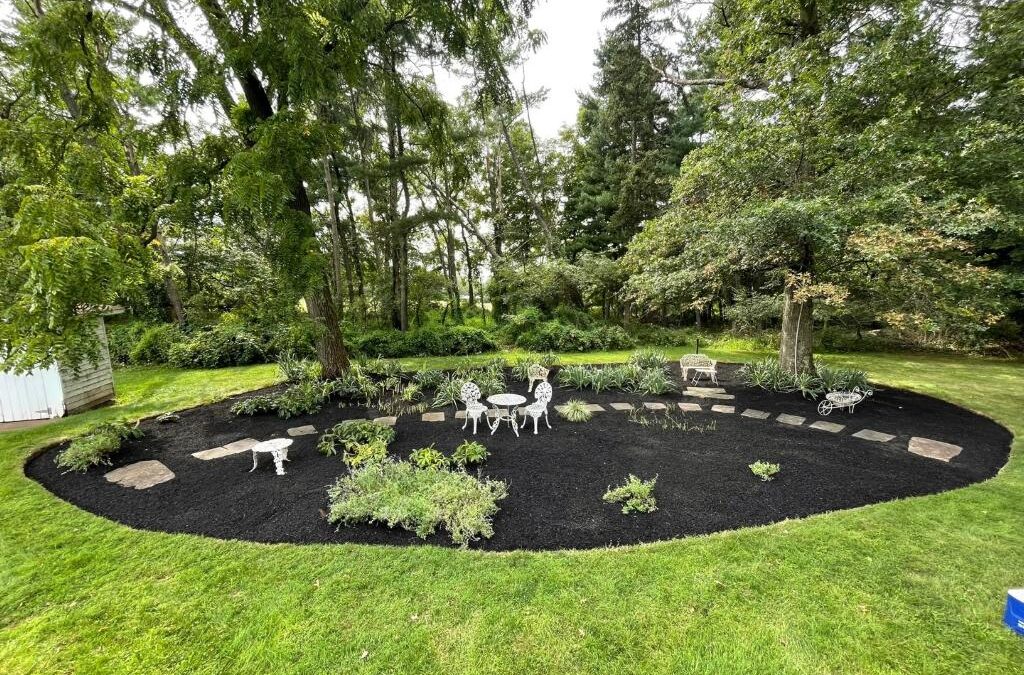 10 Essential Steps: Your Ultimate Yard Maintenance How-To Handbook