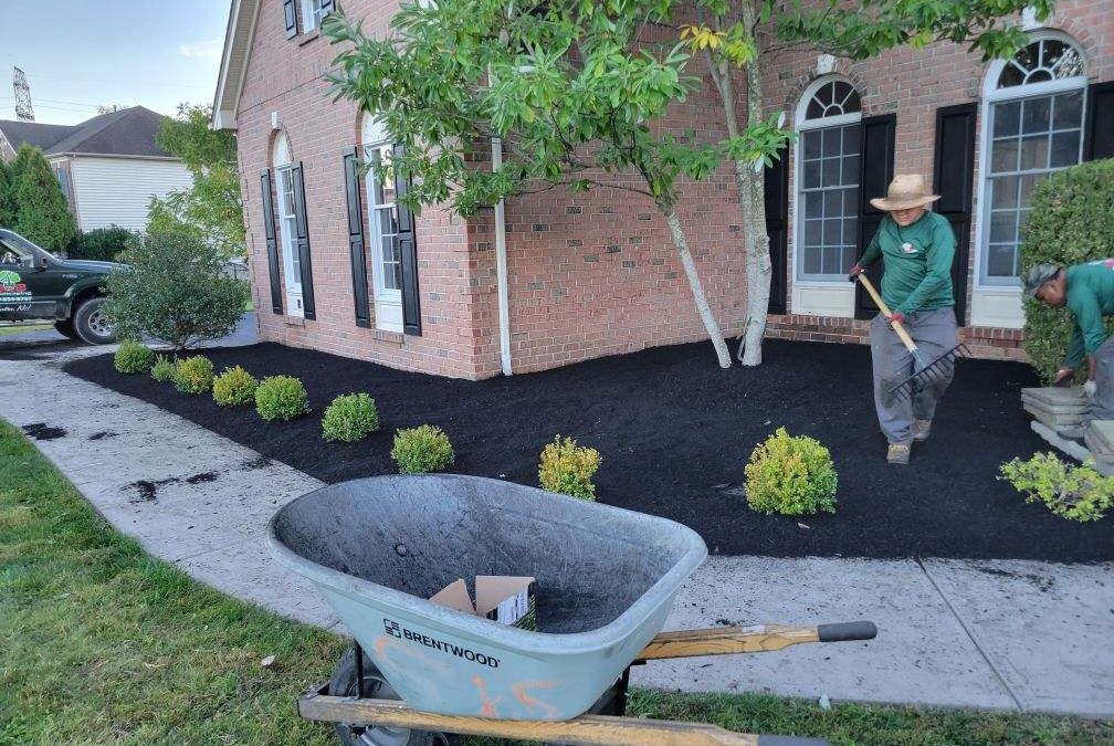 Avoid These 3 Common Mistakes When Choosing a Landscape Maintenance Company