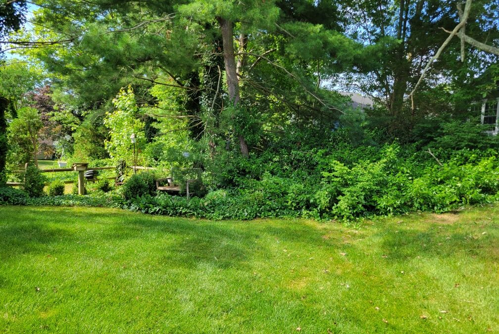 Why Choose Local? The Benefits of Hiring Landscaping Companies Near Me in New Jersey